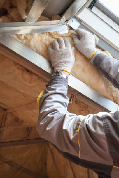 Types of Insulation We Offer in Ettrick, VA