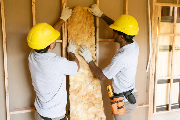 Insulation Air Sealing in Ettrick, VA